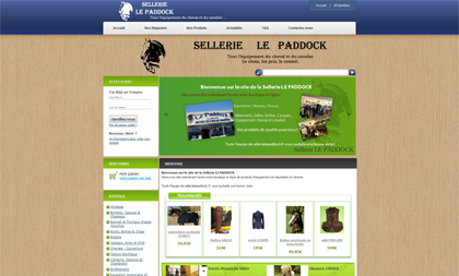 Page d\'accueil du site